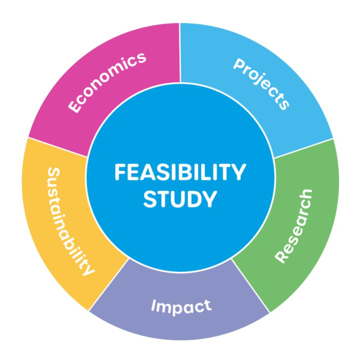 Feasibility Study